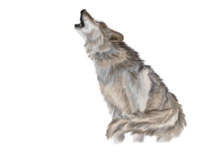 Wolf PNG Image - PurePNG  Free transparent CC0 PNG Image Library